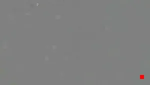 Caméra IP - IR
