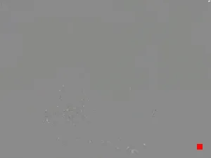 Caméra IP - DE