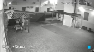 Caméra IP - IT
