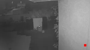 Caméra IP - DE