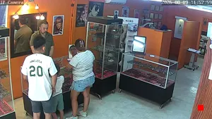 Caméra IP - MX
