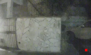 Caméra IP - IT