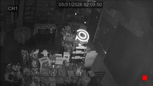Caméra IP - US