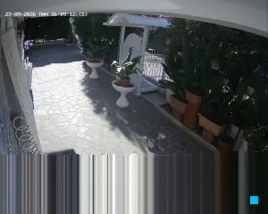 Caméra IP - IT
