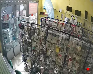 Caméra IP - IT