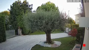 Caméra IP - IT