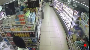 Caméra IP - ES