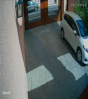 Caméra IP - MX