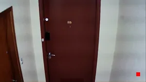 Caméra IP - BR