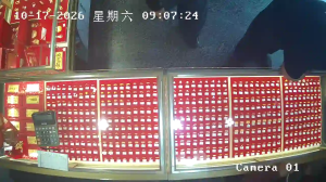Caméra IP - CN