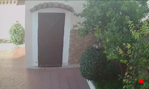 Caméra IP - IT