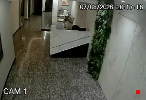 Caméra IP - BR