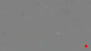Caméra IP - RU