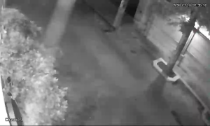 Caméra IP - IR
