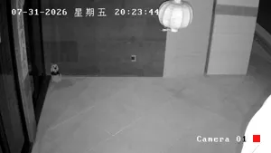 Caméra IP - CN