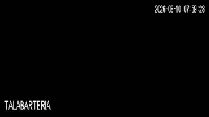 Caméra IP - AR