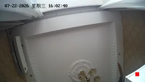 Caméra IP - CN