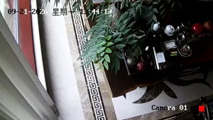 Caméra IP - CN