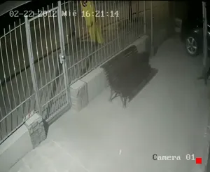 Caméra IP - UY