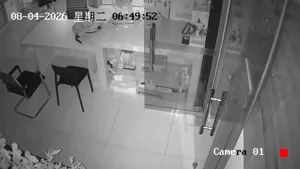 Caméra IP - CN