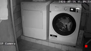 Caméra IP - DE