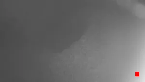 Caméra IP - IT