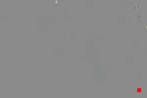 Caméra IP - IT