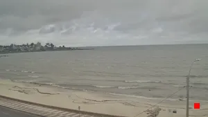 Caméra IP - UY