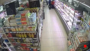 Caméra IP - ES