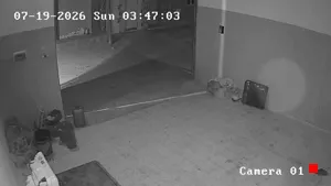 Caméra IP - TN