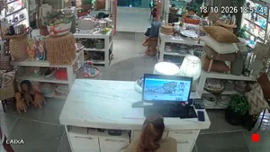 Caméra IP - BR