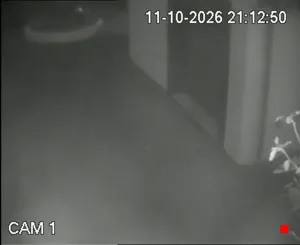 Caméra IP - IE