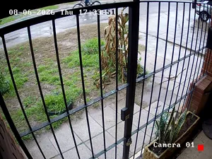 Caméra IP - AR