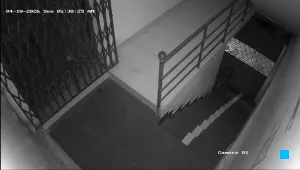 Caméra IP - IN
