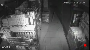Caméra IP - ES