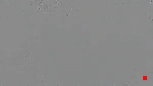 Caméra IP - ES