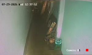 Caméra IP - TH