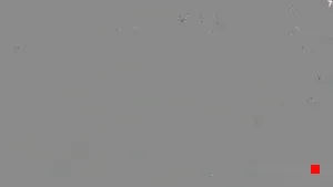 Caméra IP - ES