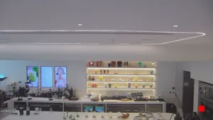Caméra IP - EG