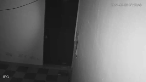 Caméra IP - IN