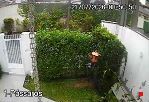 Caméra IP - BR