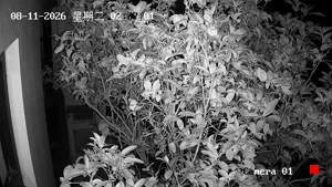 Caméra IP - CN