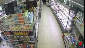 Caméra IP - ES