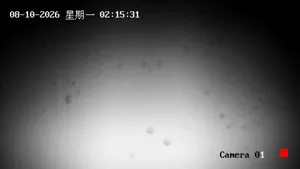 Caméra IP - CN