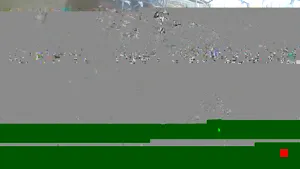 Caméra IP - US