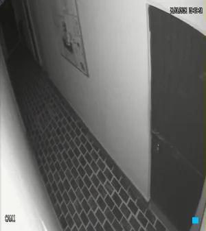Caméra IP - IN