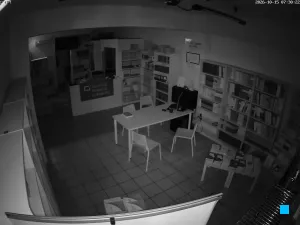 Caméra IP - IT
