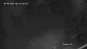 Caméra IP - UA