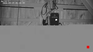 Caméra IP - DE