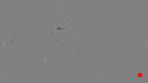 Caméra IP - MY